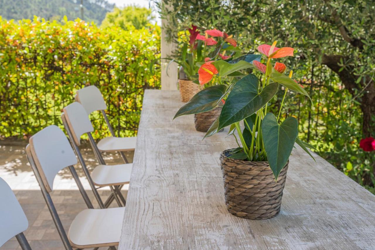 Agave - Luisa, Pace E Relax A 2 Passi Dal Mare *