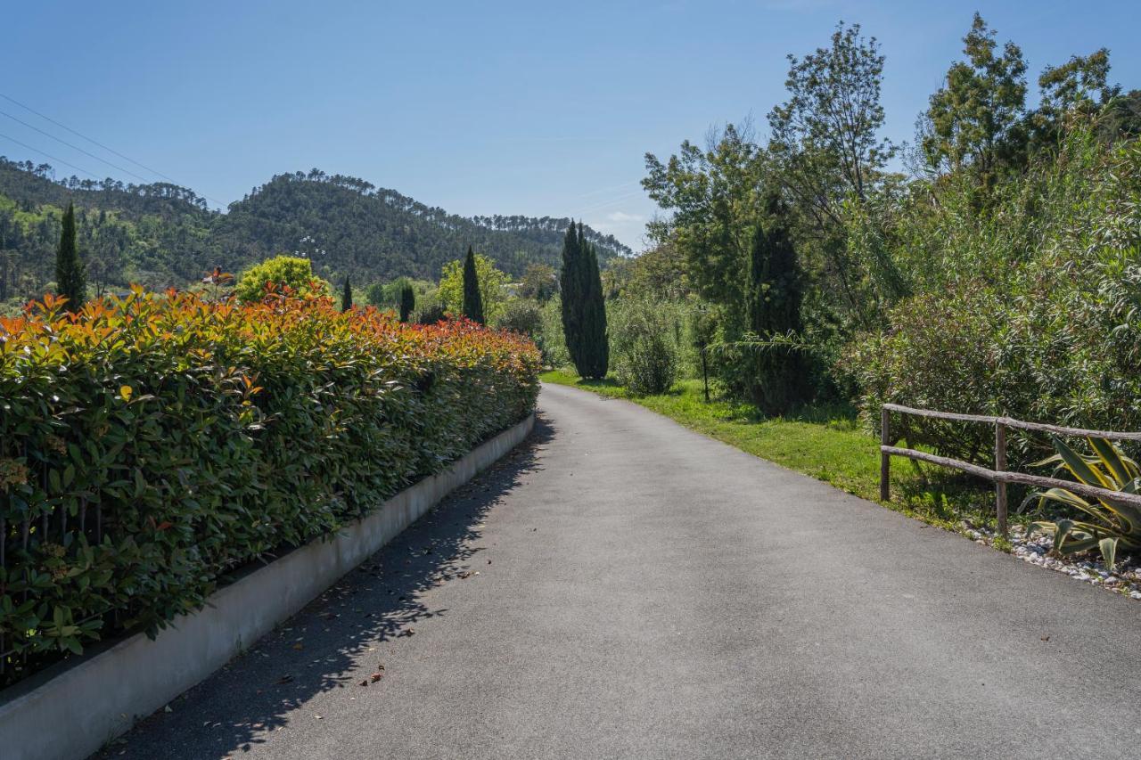 Appartement Agave - Luisa, Pace E Relax A 2 Passi Dal Mare *
